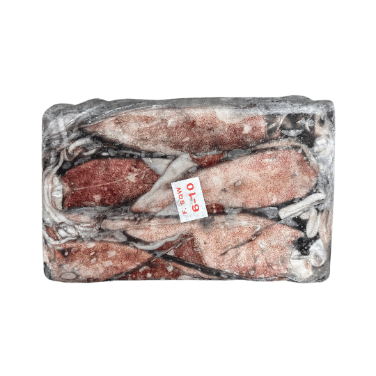 CALAMAR (கணவாய்) - 2 KG