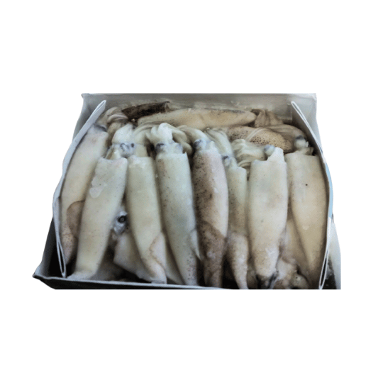 CALAMAR (கணவாய்) - 10 KG